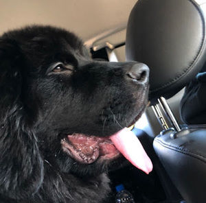 Meet your Posher, Eve